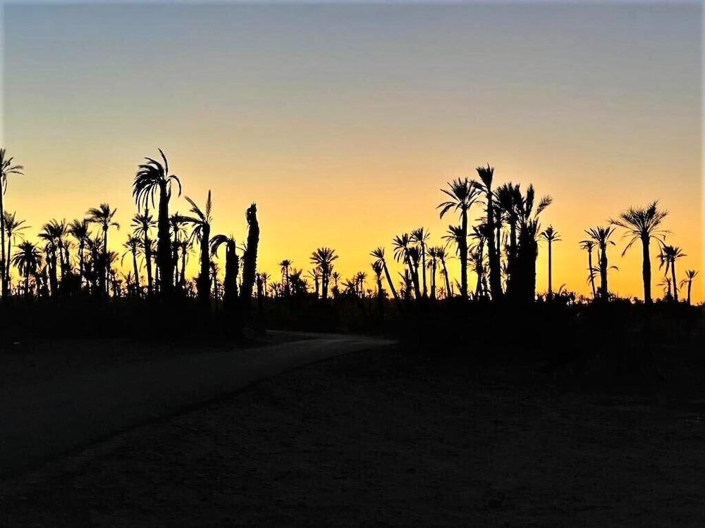 Villa 55 Marrakech มาร์ราเกช ภายนอก รูปภาพ
