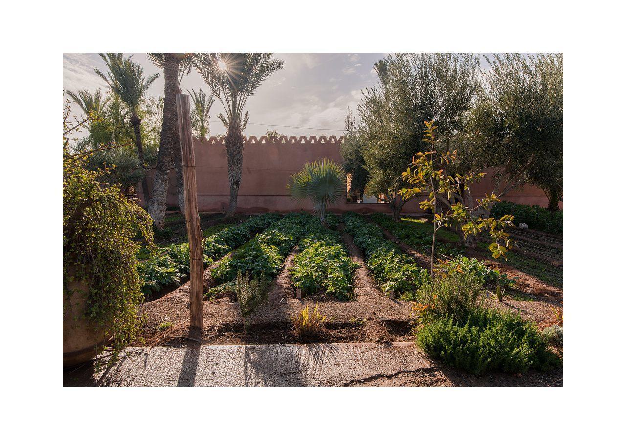 Villa 55 Marrakech มาร์ราเกช ภายนอก รูปภาพ